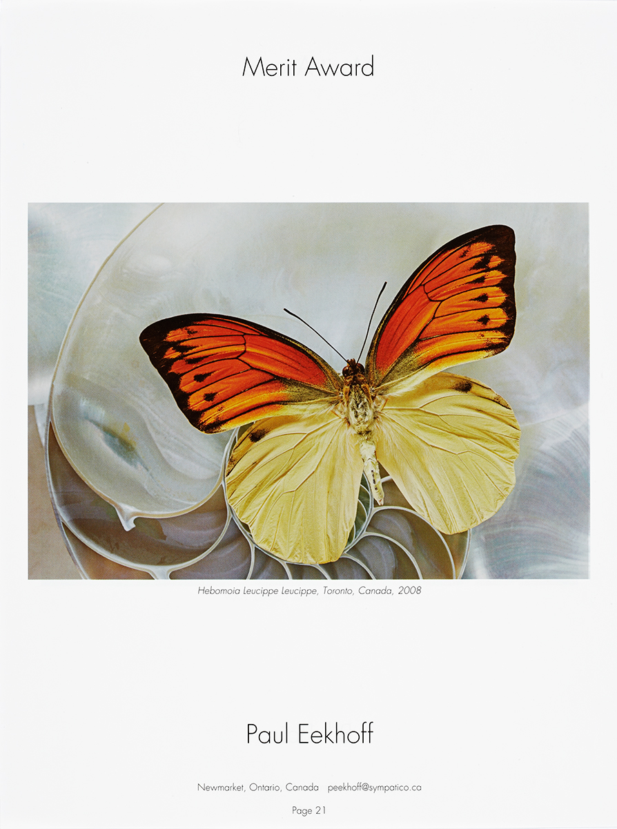Butterfly-award