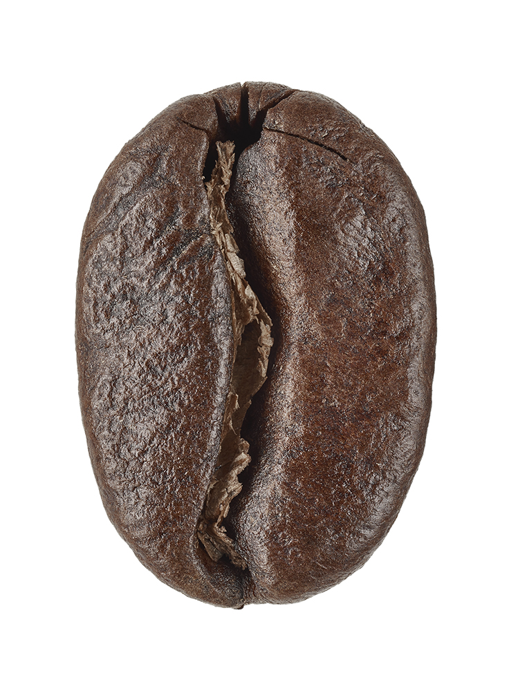 Coffee Bean Detail, york region product photographer